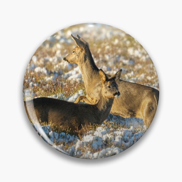Item preview, Two Roe deer (Capreolus capreolus) winter scene  designed and sold by Stephen Jarman.