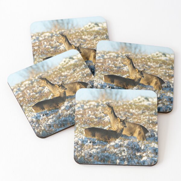 Item preview, Two Roe deer (Capreolus capreolus) winter scene  designed and sold by Stephen Jarman.