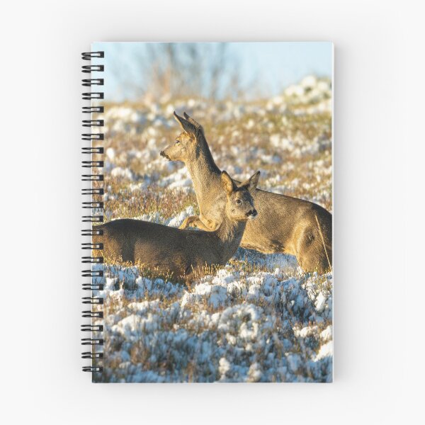 Item preview, Two Roe deer (Capreolus capreolus) winter scene  designed and sold by Stephen Jarman.