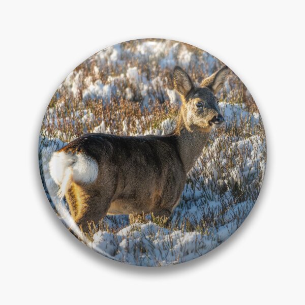 Item preview, Roe deer (Capreolus capreolus) winter scene  designed and sold by Stephen Jarman.