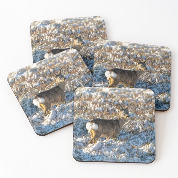 Item preview, Roe deer (Capreolus capreolus) winter scene  designed and sold by Stephen Jarman.