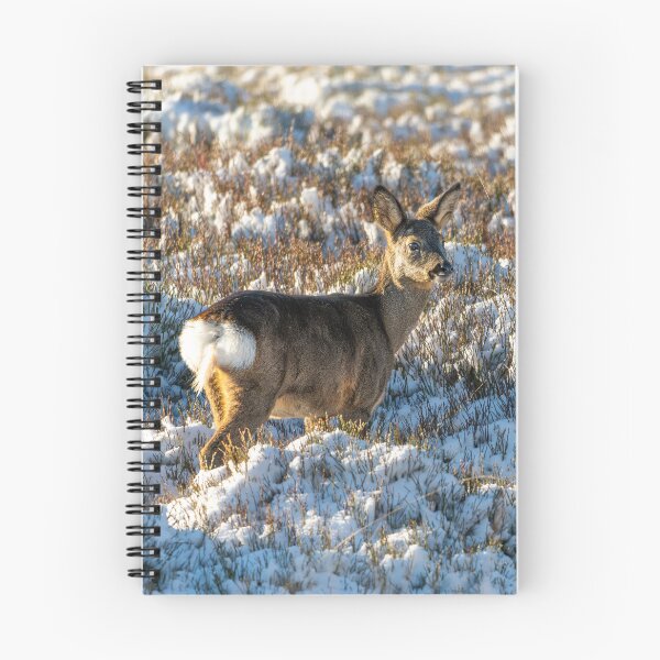 Item preview, Roe deer (Capreolus capreolus) winter scene  designed and sold by Stephen Jarman.