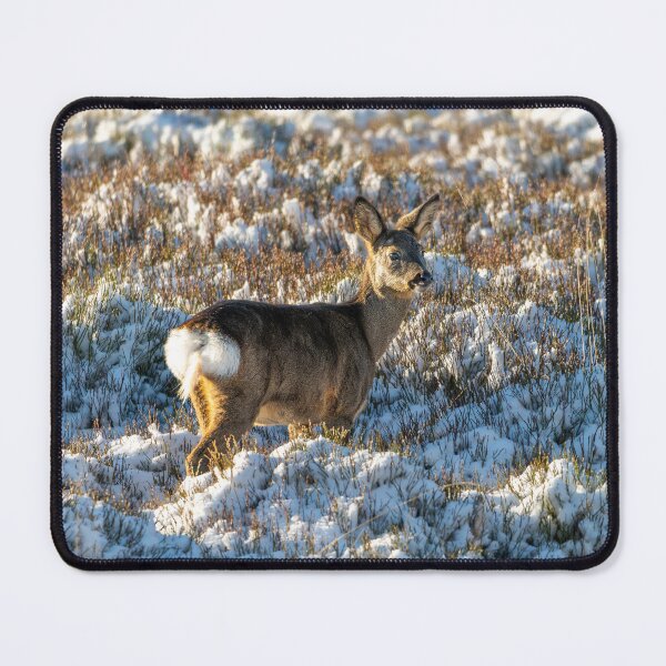 Item preview, Roe deer (Capreolus capreolus) winter scene designed and sold by Stephen Jarman.