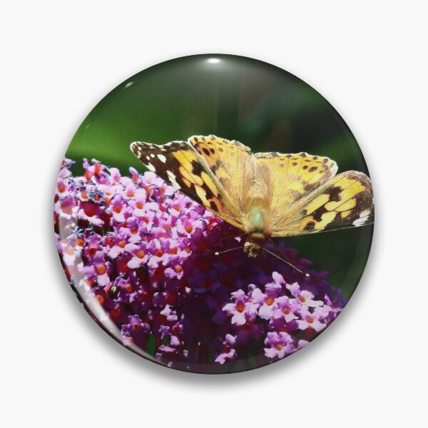 Item preview, Butterfly Painted Lady designed and sold by Bird22Shot.