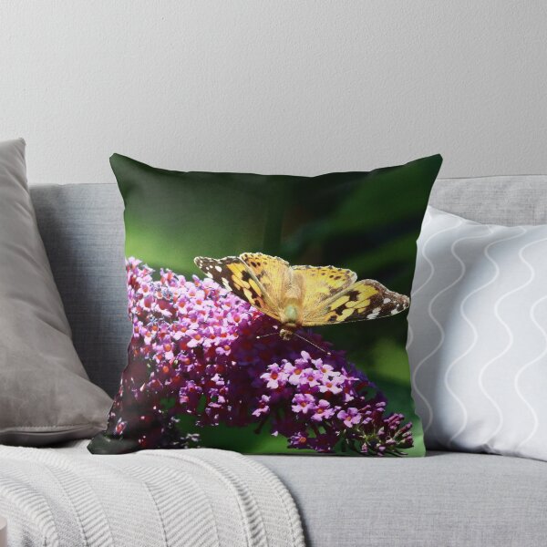 Item preview, Butterfly Painted Lady designed and sold by Bird22Shot.