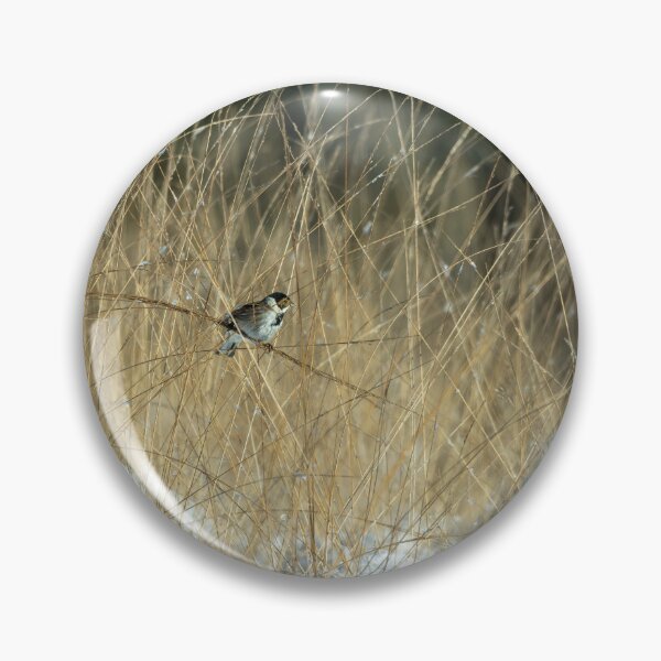 Item preview, Coal tit (Periparus ater)  designed and sold by Stephen Jarman.