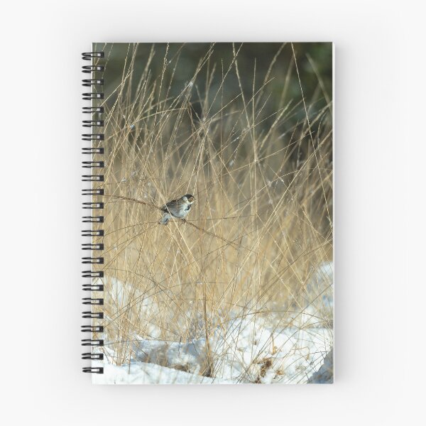 Item preview, Coal tit (Periparus ater)  designed and sold by Stephen Jarman.