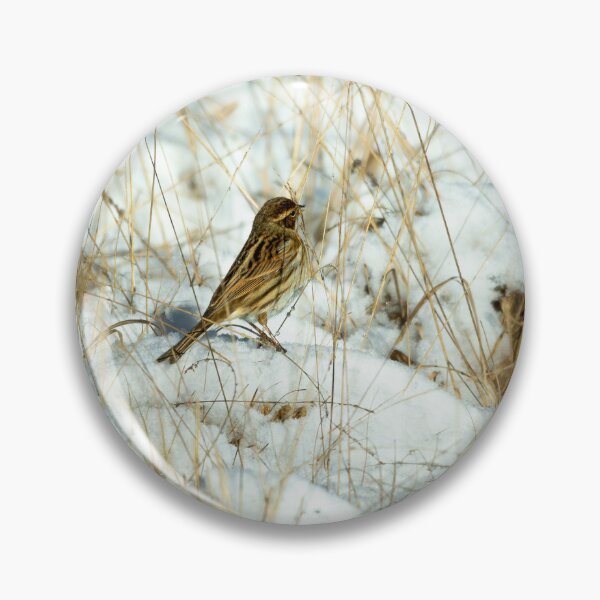 Item preview, Reed bunting (Emberiza schoeniclus) designed and sold by Stephen Jarman.