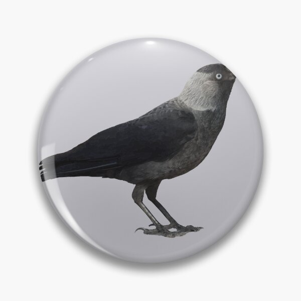 Item preview, Side View Of A Wild Jackdaw designed and sold by taiche.