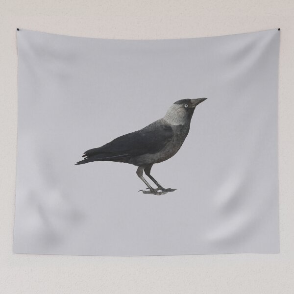 Item preview, Side View Of A Wild Jackdaw designed and sold by taiche.