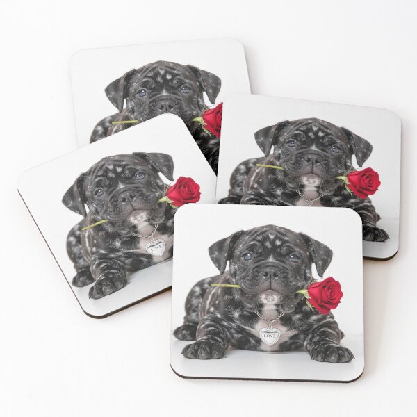 Item preview, Cute little Bulldog Puppy tells you "I love you" with red Rose designed and sold by Segasprojects.