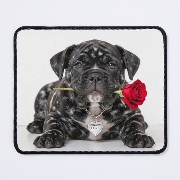 Item preview, Cute little Bulldog Puppy tells you "I love you" with red Rose designed and sold by Segasprojects.