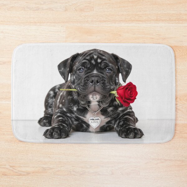 Item preview, Cute little Bulldog Puppy tells you "I love you" with red Rose designed and sold by Segasprojects.