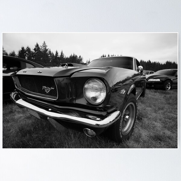 Black and White Mustang Poster