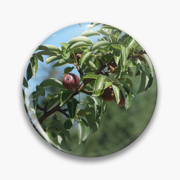 Item preview, pear tree in summer designed and sold by distracted.