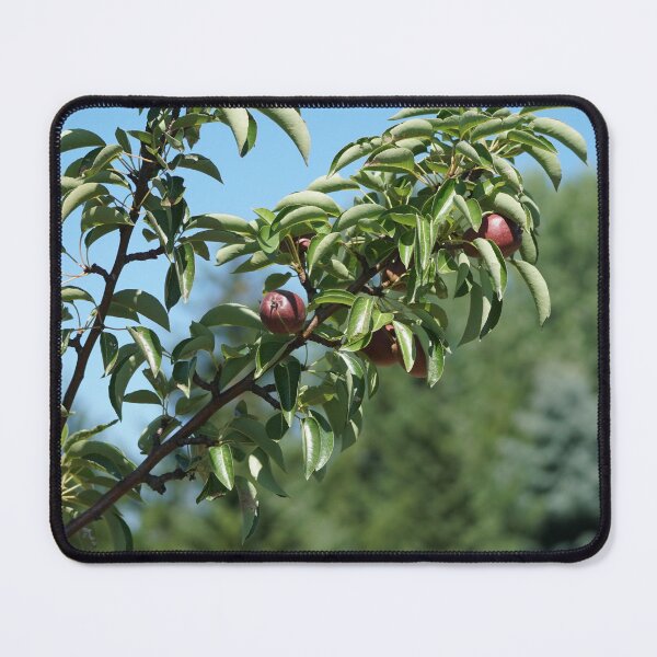 Item preview, pear tree in summer designed and sold by distracted.