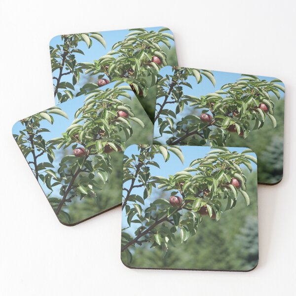 Item preview, pear tree in summer designed and sold by distracted.