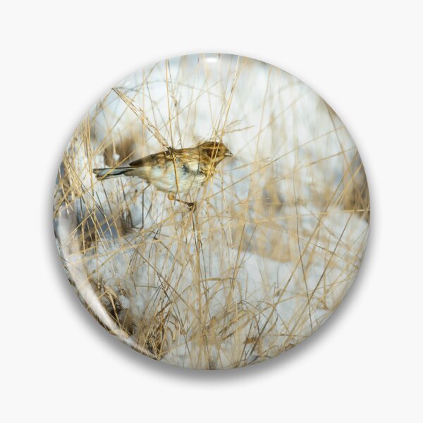 Item preview, Reed bunting (Emberiza schoeniclus)  designed and sold by Stephen Jarman.
