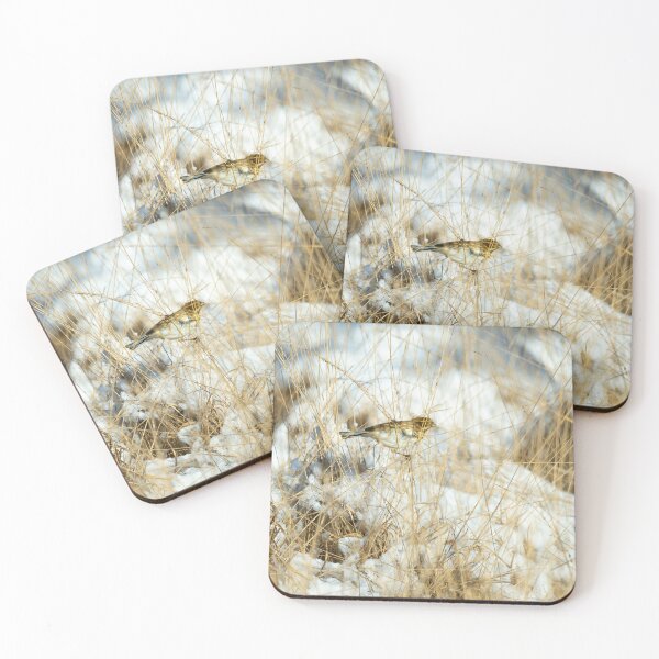 Item preview, Reed bunting (Emberiza schoeniclus)  designed and sold by Stephen Jarman.