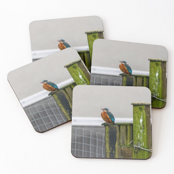 Item preview, Kingfisher (Alcedo atthis) sitting on a fence  designed and sold by Stephen Jarman.