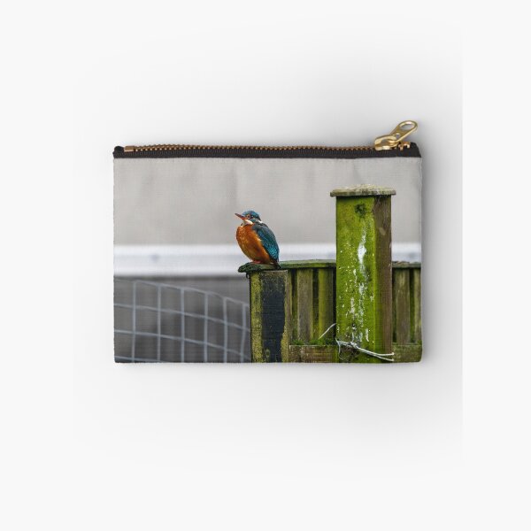 Item preview, Kingfisher (Alcedo atthis) sitting on a fence  designed and sold by Stephen Jarman.
