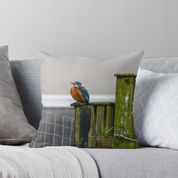 Item preview, Kingfisher (Alcedo atthis) sitting on a fence  designed and sold by Stephen Jarman.