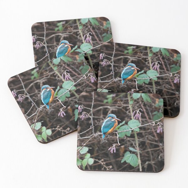 Item preview, Kingfisher (Alcedo atthis) sitting on a branch   designed and sold by Stephen Jarman.
