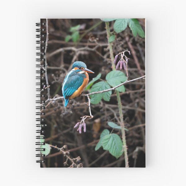 Item preview, Kingfisher (Alcedo atthis) sitting on a branch   designed and sold by Stephen Jarman.