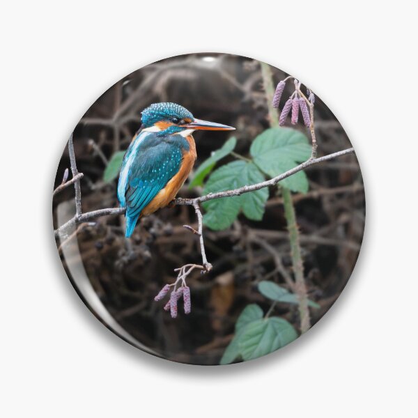 Item preview, Kingfisher (Alcedo atthis) sitting on a branch    designed and sold by Stephen Jarman.