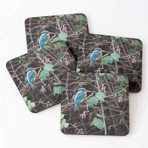 Item preview, Kingfisher (Alcedo atthis) sitting on a branch    designed and sold by Stephen Jarman.