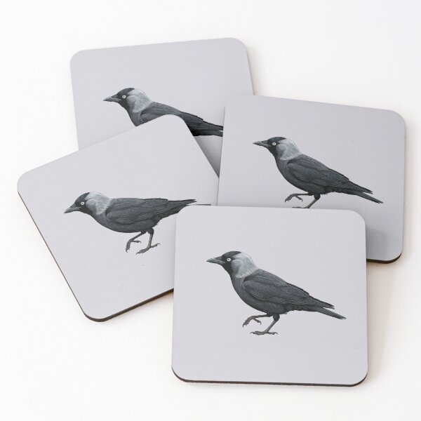 Item preview, Curious Jackdaw designed and sold by taiche.