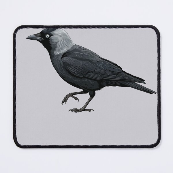 Item preview, Curious Jackdaw designed and sold by taiche.