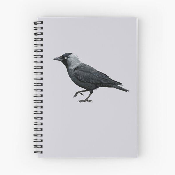 Item preview, Curious Jackdaw designed and sold by taiche.
