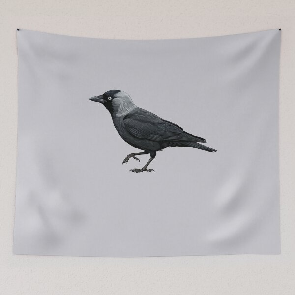 Item preview, Curious Jackdaw designed and sold by taiche.