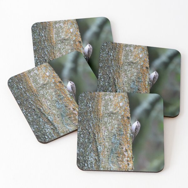 Item preview, Eurasian treecreeper (Certhia familiaris) designed and sold by Stephen Jarman.