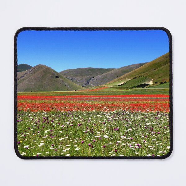 Item preview, Castelluccio flowering 2026 designed and sold by annalisa56.