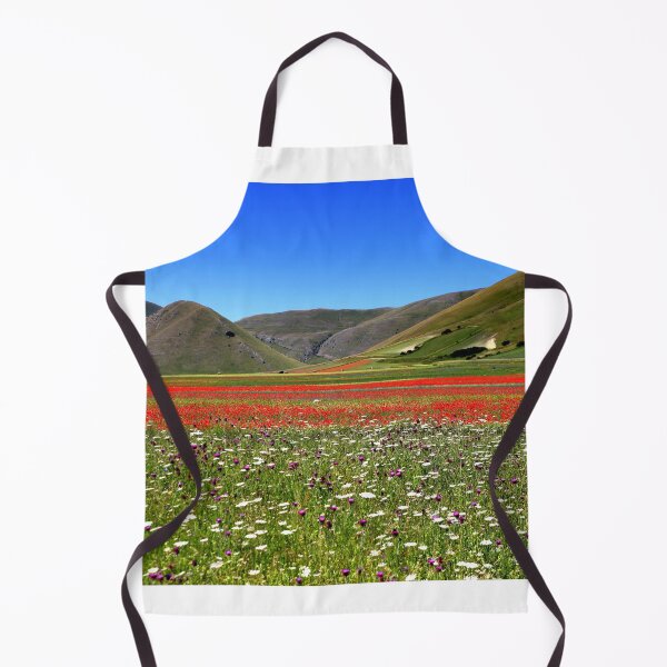 Item preview, Castelluccio flowering 2026 designed and sold by annalisa56.