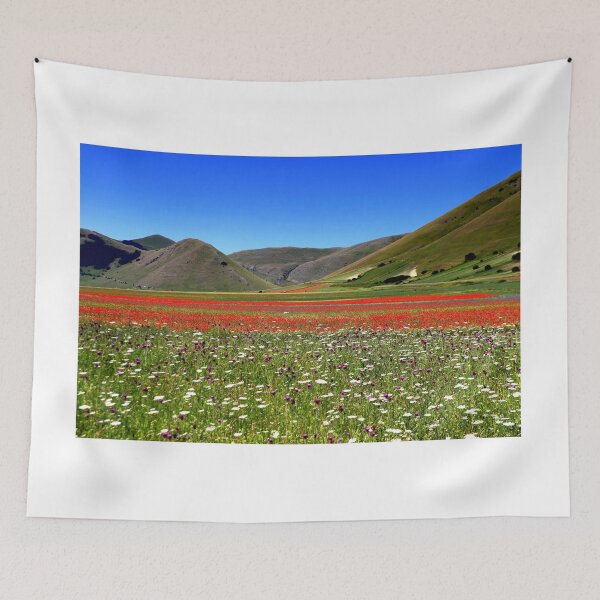 Item preview, Castelluccio flowering 2026  designed and sold by annalisa56.