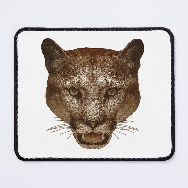 Item preview, Mountain lion face canvas optics, cool big cat photos, beautiful animal motifs designed and sold by Kirei-Lily.
