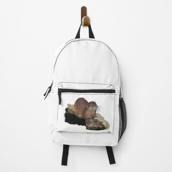 Item preview, Otter on stone, aquatic animals, otter shirts, cute wild animal designs designed and sold by Kirei-Lily.