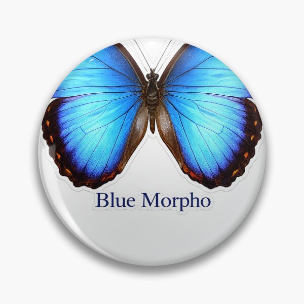 Item preview, Blue morpho designed and sold by LnsCreations.