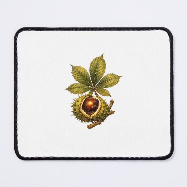 Item preview, Conker & Horse Chestnut | Vintage Autumn Botanical Art | Childhood Nostalgia Gift designed and sold by Brackenlume Studio.