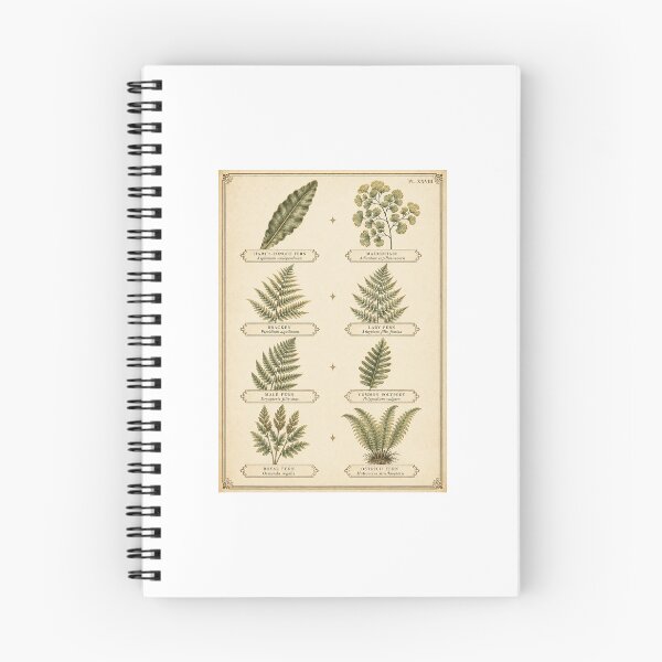 Item preview, Fern Identification Chart | Vintage Botanical Fern Species Art | Botany Lover Gift designed and sold by Brackenlume Studio.