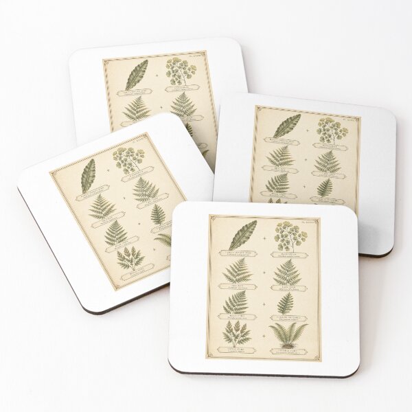 Item preview, Fern Identification Chart | Vintage Botanical Fern Species Art | Botany Lover Gift designed and sold by Brackenlume Studio.