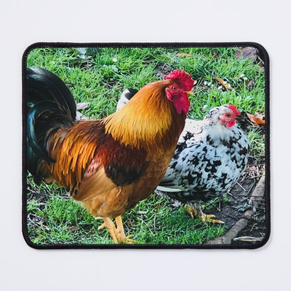 Item preview, Speckled Hen and Colourful Rooster designed and sold by Jasbindar Singh.