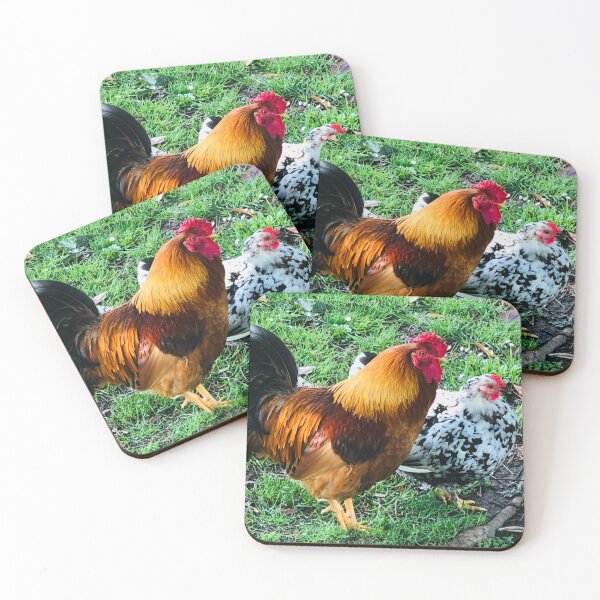 Item preview, Speckled Hen and Colourful Rooster designed and sold by Jasbindar Singh.