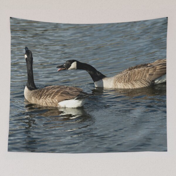 Item preview, Canada Geese (Branta canadensis) designed and sold by Stephen Jarman.
