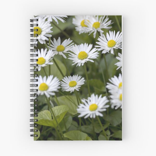 Item preview, Daisies Whisper designed and sold by MoePhotography.