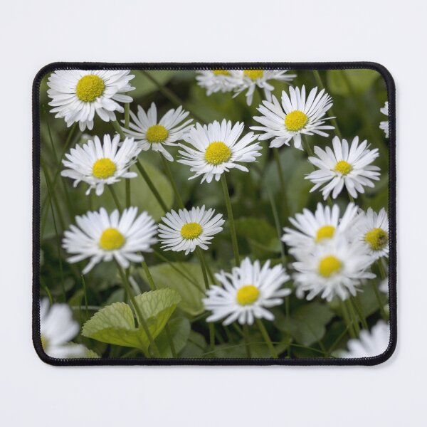 Item preview, Daisies Whisper designed and sold by MoePhotography.