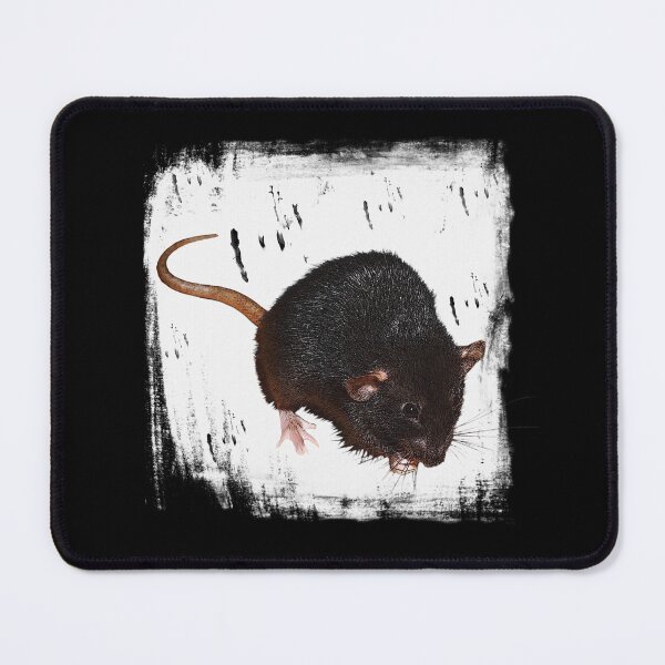 Item preview, rat with background, rodents, lovely pets, gifts rat fan designed and sold by Kirei-Lily.